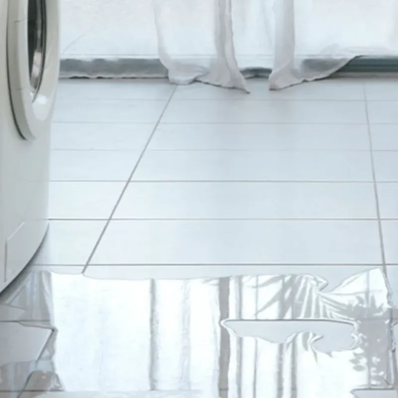 Appliance Leak Cleanup in Scotts Valley, CA