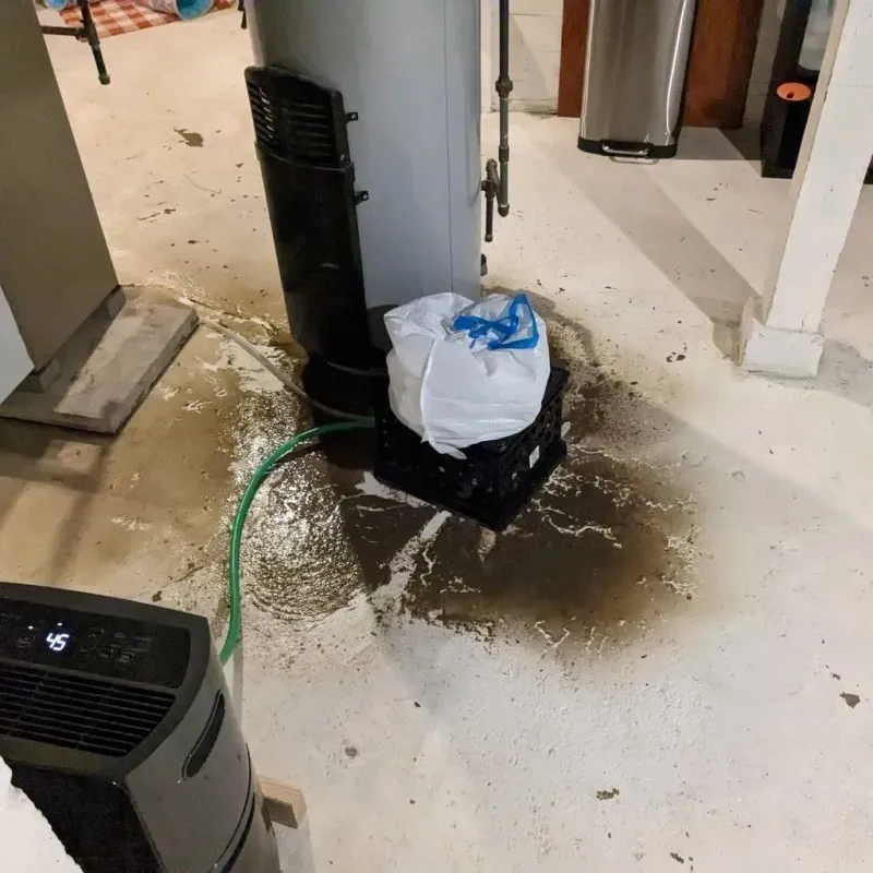 Sewage Backup Cleanup Service in Scotts Valley, CA